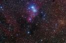 Conus-Nebel + NGC2261 + Trumpler 5