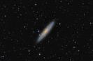 Sculptor Galaxie - NGC 253