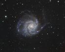 M101