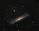 NGC3628 im LEO-Triplett