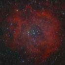 NGC 2244 - Rosettennebel