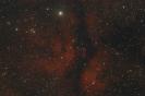 IC 1318 - Sadr Region