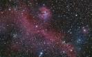 Seagull -Nebula IC2177 & SH2-292